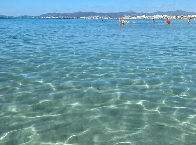 Admiral Plaza, & Apartment Sunny Beach